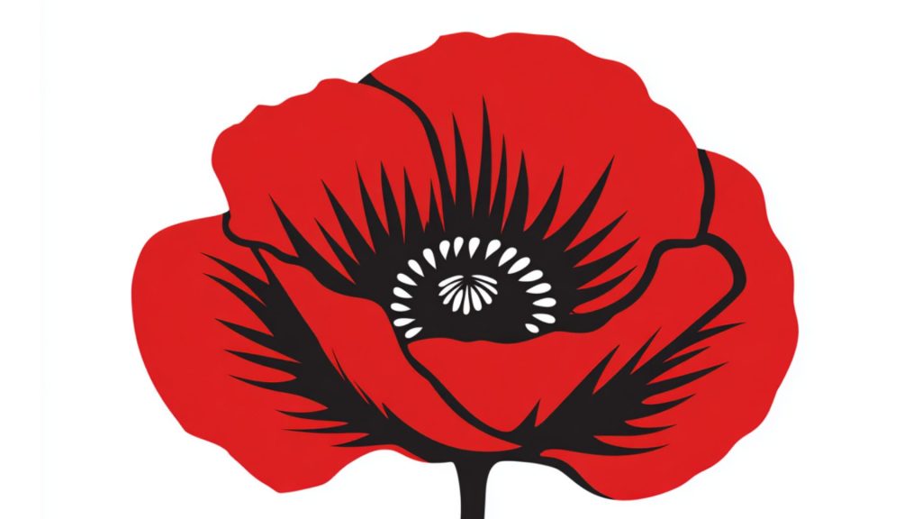 red poppy